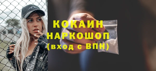 mdpv Заводоуковск