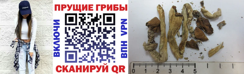 Купить закладки  Камызяк  Галлюциногенные грибы мухоморы 